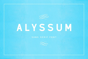 Alyssum - Sans Serif Font