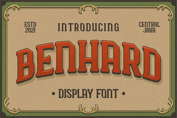 BENHARD DISPLAY