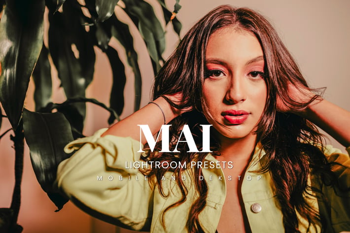 Mai Lightroom Presets Dekstop and Mobile