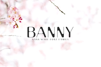Banny Sans Serif Font Family