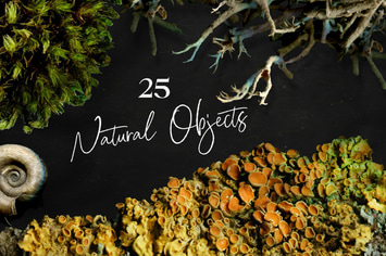 25 Natural Objects