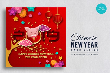 Chinese New Year Vector Card Vol.4