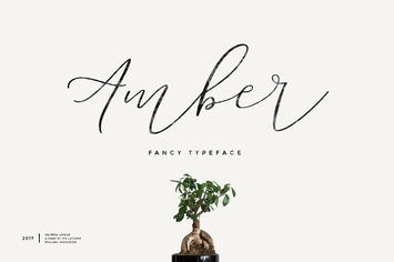 Its Miss Amber