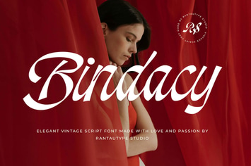 Bindacy Vintage Elegant Script Font