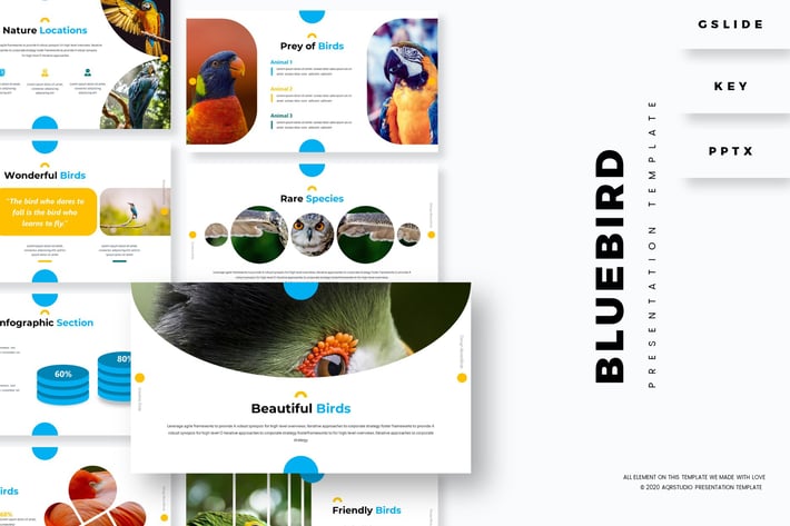 Bluebird - Presentation Template