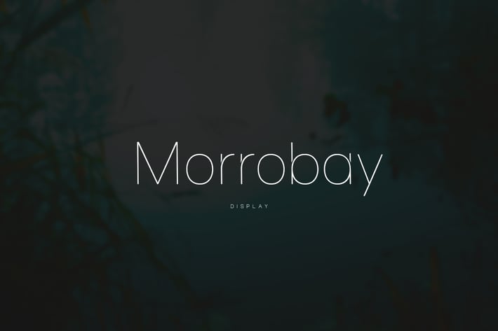 Morrobay Unique Typeface with Web-fonts