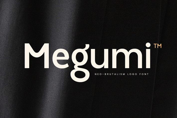 Megumi - Neo Brutalism Logo Font + Webfont