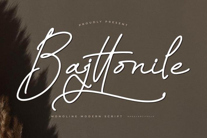 Bajttonile Monoline Script Font