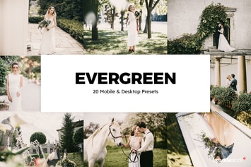 20 Evergreen Lightroom Presets & LUTs