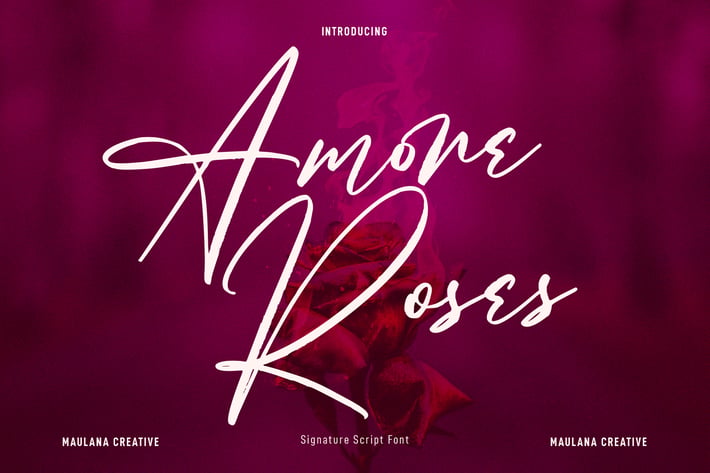 Amore Roses Signature Script Font