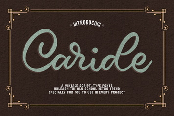 Vintage Script Font