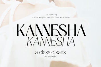 Kannesha Sans Serif (18 fonts)