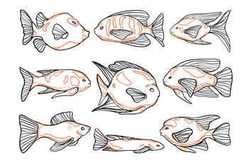Aquarium Fish Doodles