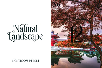 Lightroom Preset - Natural Landscape No.12