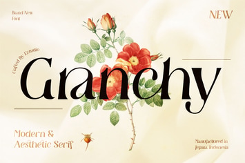 Modern and Aesthetic Serif - Granchy