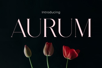 Aurum - Essence of Elegance Modern Font