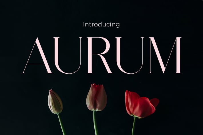 Aurum - Essence of Elegance Modern Font