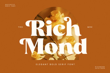 Richmond - Bold Serif Font