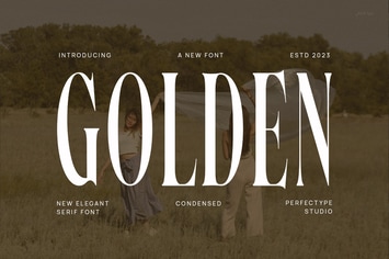 Golden Elegant Serif Font Typeface