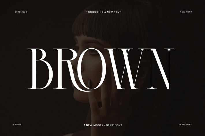 Brown Modern Serif Font