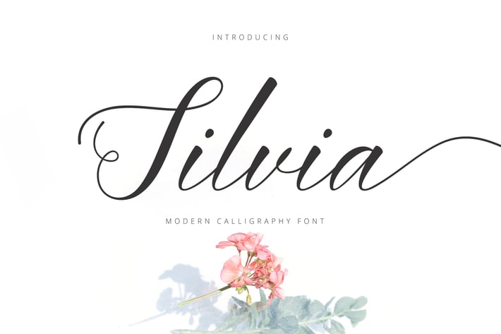 Silvia Script