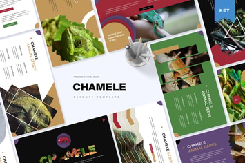  Chamele | Keynote Template