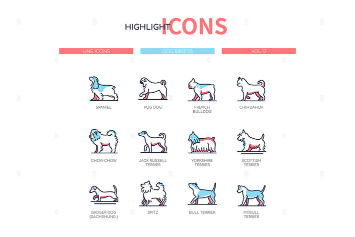 Dog breeds - modern line design style icons set