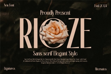 Rioze - Sans serif Elegant Font