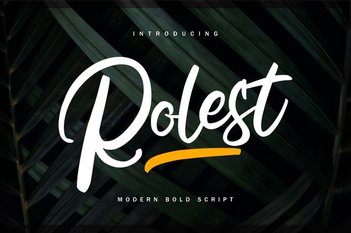 Rolest | Modern Bold Script Font
