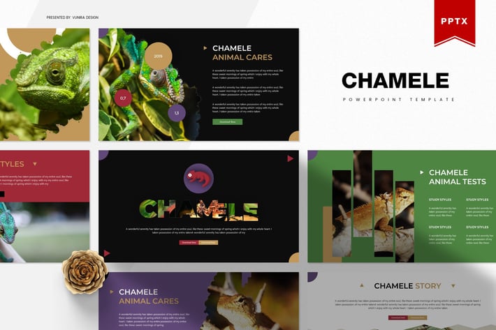Chamele | Powerpoint Template