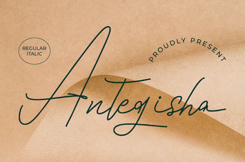 Antegisha Monoline Script Font