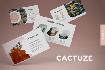 Cactuze - Keynote Template