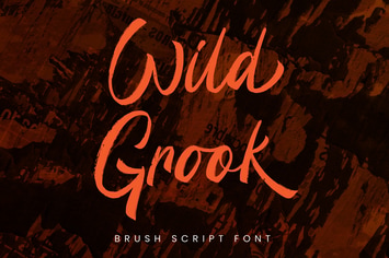 Wild Grook - Brush Font