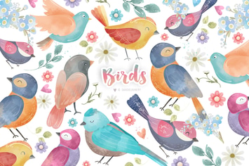 Watercolor Birds 