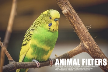 17 Animal Photography Lightroom Presets