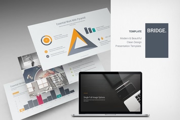 Bridge Business Template