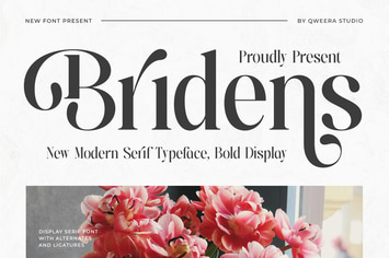 Bridens - Modern Serif Display