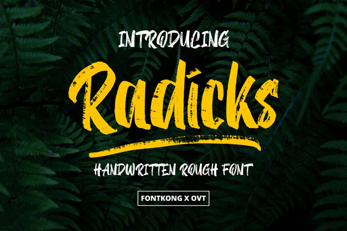 Radicks - Handwritten Rough Font
