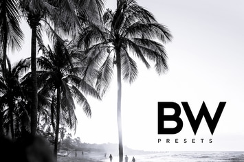 ARTA B&W Presets For Mobile and Desktop