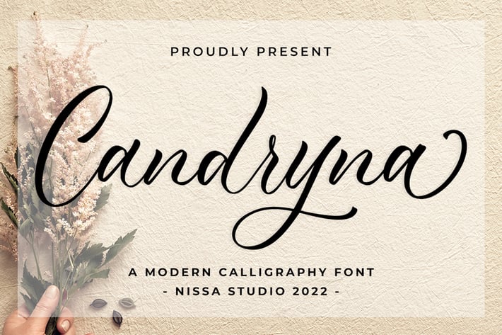 Candryna