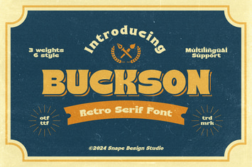 Buckson - Retro Serif Font