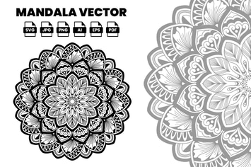 Mandala Vector Illustration