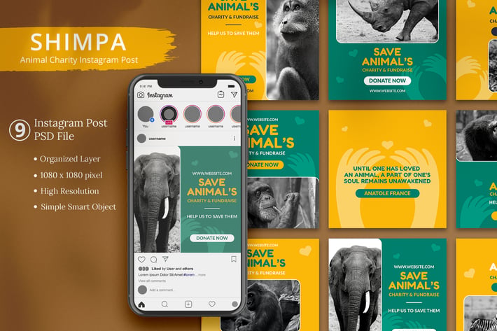 Shimpa - Animal's Charity Instagram Post