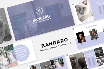 Bandaro - PowerPoint Template