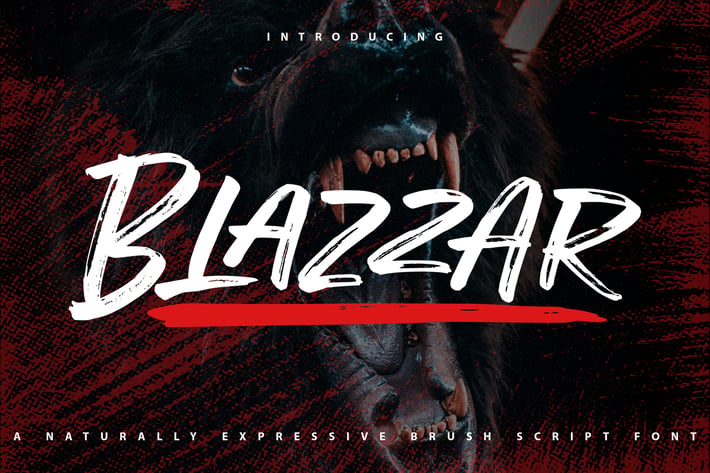 Blazzar | Expressive Brush Script Font
