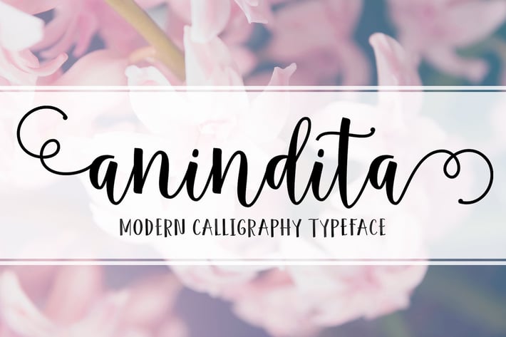 Anindita Script