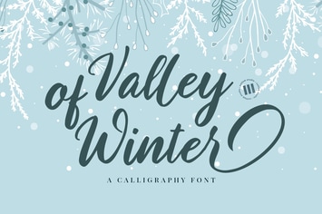 Valley of winter