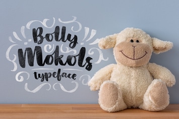 Bolly Mokols