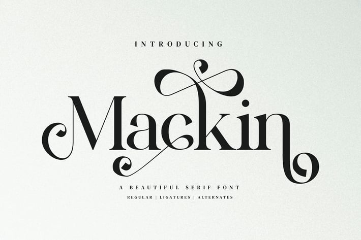 Mackin - Beautiful Ligature Font