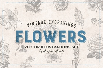 Flowers - Vintage Engraving Illustrations